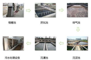 深圳校园里的 黑科技 ,4万平方米绿化用上 再生水