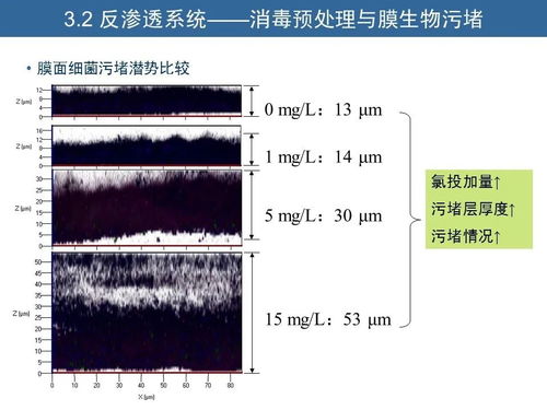 清华大学环境学院胡洪营教授 水征分析与污水再生处理工艺诊断优化方法 附ppt t05